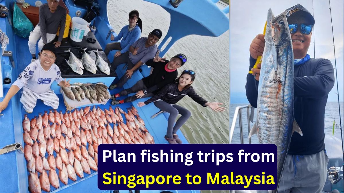 Plan fishing trips from Singapore to Malaysia